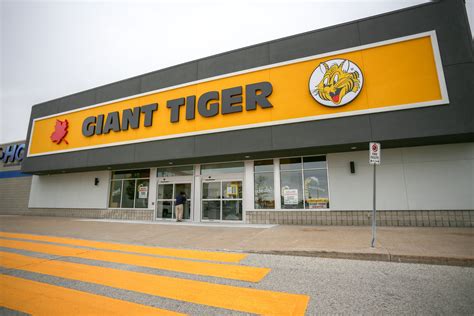 giant tiger